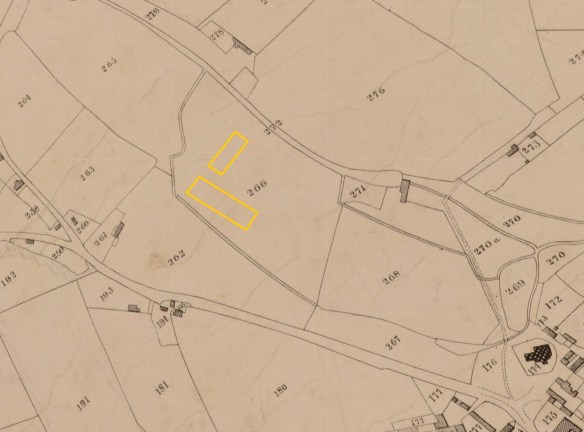 Tithe map of 1840 with position of Marlborough Primary School marked in yellow - in field 266.