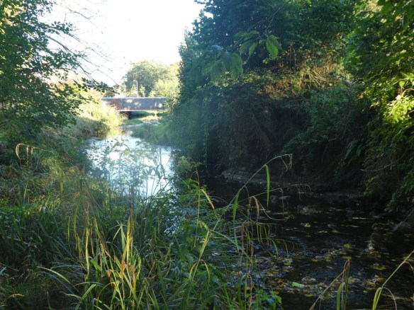Roath Brook and remains of Roath Mill
