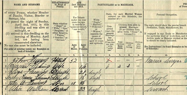 part of 1911 census of 3 ninian road cardiff