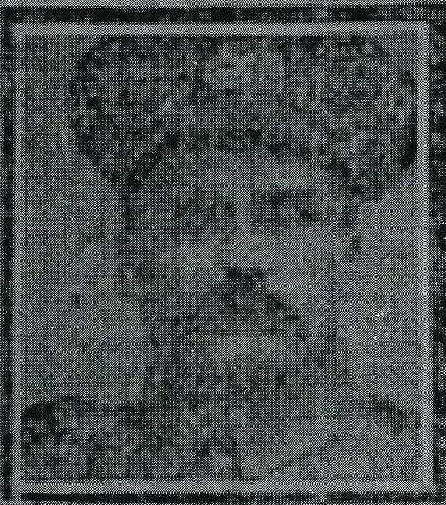 9530bfa0-99de-4c4d-83d5-cd08a08dfdd3 - Copy