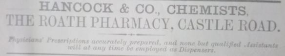 Hancock and Son Chemists Castle Road, Roath, Cardiff