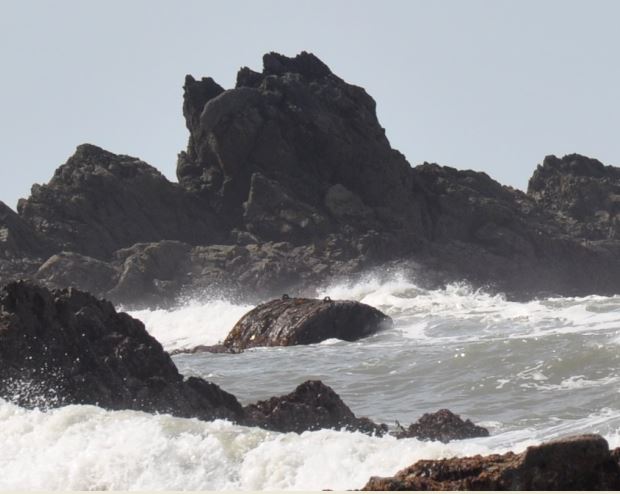 Miura trawler boiler seen at low tide in 2021