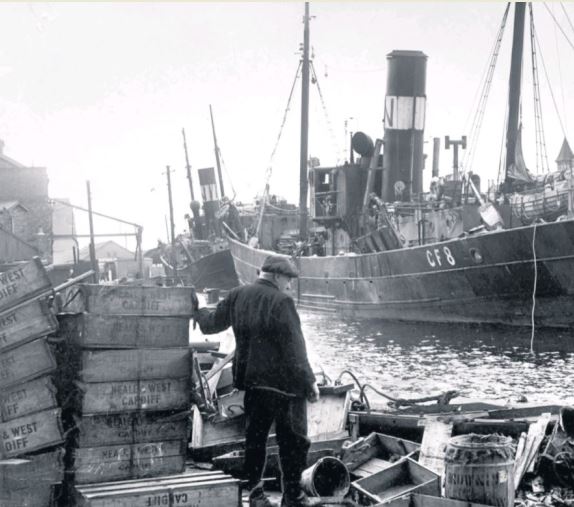 Neale and West trawlers and fish boxes in Cardiff