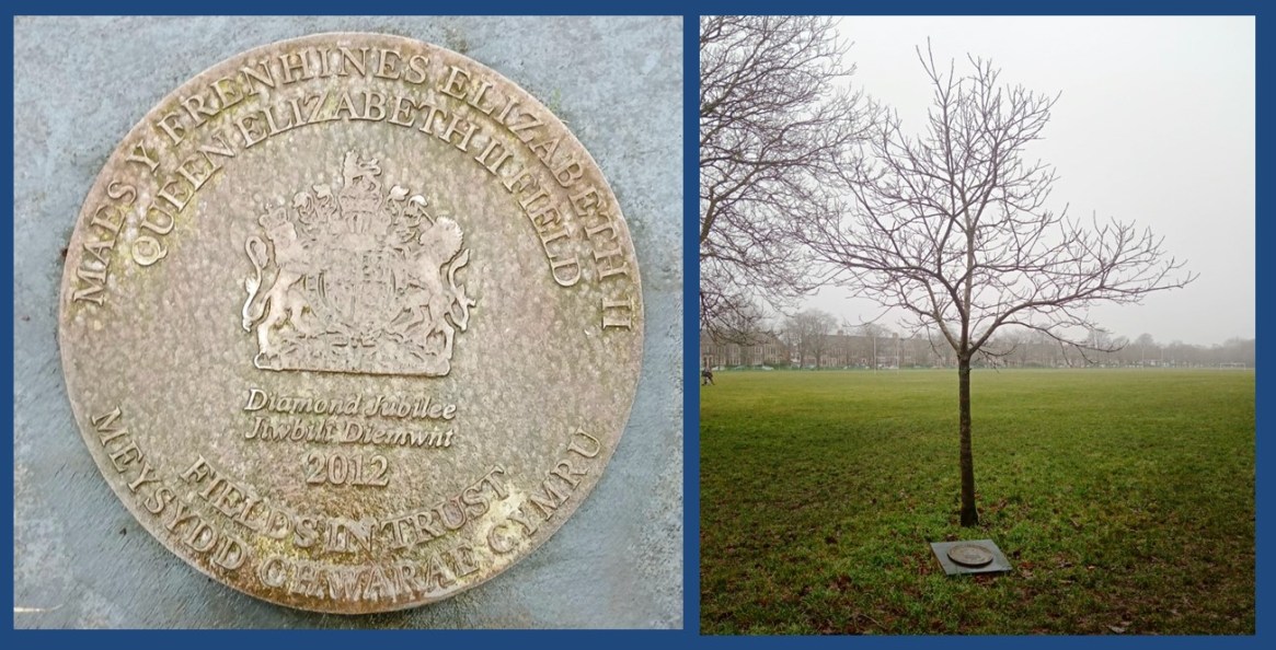 Roath Recreation Ground | Roath Local History Society